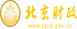 靠b大片北京市财政局