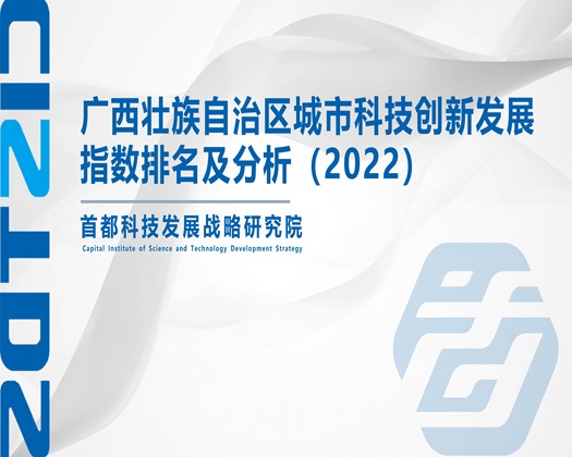 大鸡巴插进逼【成果发布】广西壮族自治区城市科技创新发展指数排名及分析（2022）